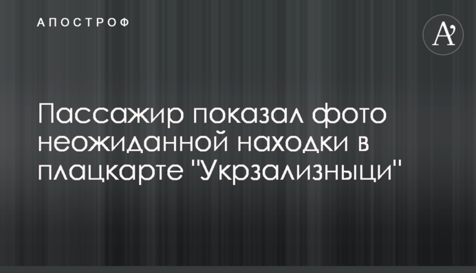 Пассажир показал фото неожиданной находки в плацкарте 