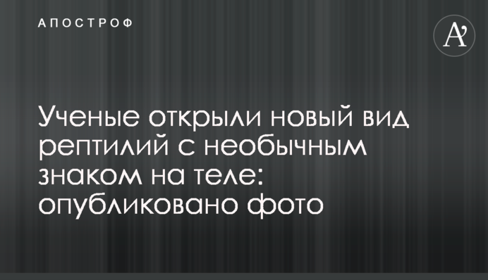 Ученые открыли новый вид рептилий с необычным знаком на теле: опубликовано фото