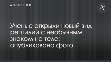 Вчені відкрили новий вид рептилій з незвичайним знаком на тілі: опубліковано фото