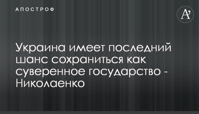 Украина имеет последний шанс сохраниться как суверенное государство - Николаенко