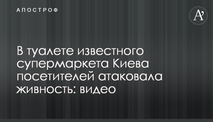 В туалете известного супермаркета Киева посетителей атаковала живность: видео