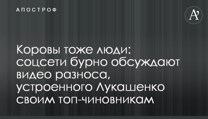 Коровы тоже люди: соцсети бурно обсуждают видео разноса, устроенного Лукашенко своим топ-чиновникам
