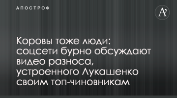 Коровы тоже люди: соцсети бурно обсуждают видео разноса, устроенного Лукашенко своим топ-чиновникам