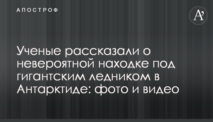 Ученые рассказали о невероятной находке под гигантским ледником в Антарктиде: фото и видео