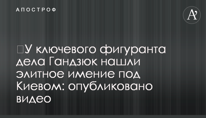 У ключового фігуранта справи Гандзюк знайшли елітни маєток під Києвом: опубліковано відео