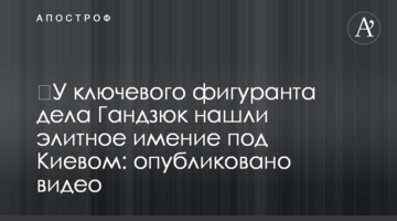 ​У ключевого фигуранта дела Гандзюк нашли элитное имение под Киевом: опубликовано видео