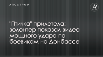 "Пташка" прилетіла: волонтер показав відео потужного удару по бойовиках на Донбасі
