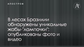 У лісах Бразилії виявлені унікальні жаби- "лампочки": опубліковані фото і відео