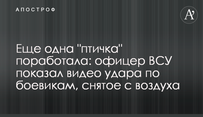 Еще одна "птичка" поработала: офицер ВСУ показал видео удара по боевикам, снятое с воздуха