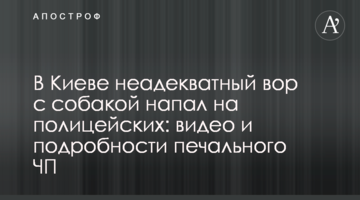 У Києві неадекватний злодій з собакою напав на поліцейських: відео та подробиці сумної НП