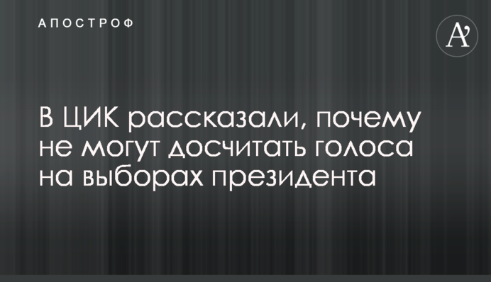 В ЦИК рассказали, почему не могут досчитать голоса на выборах президента
