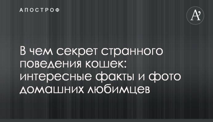 Де дивитися онлайн Ліверпуль - Порту: розклад трансляцій