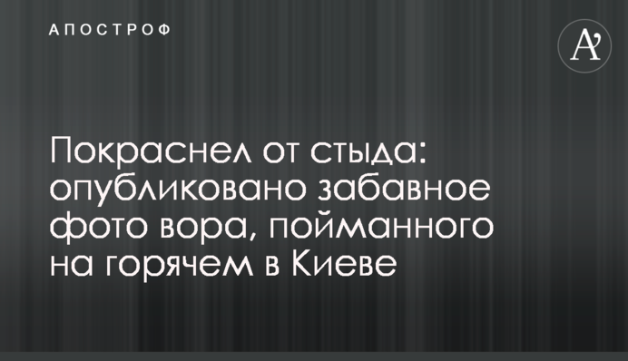 Почервонів від сорому: опубліковано веселе фото злодія, спійманого на гарячому в Києві