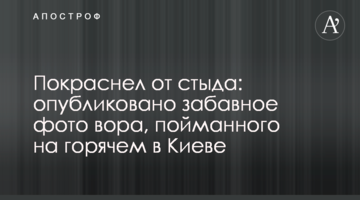 Почервонів від сорому: опубліковано веселе фото злодія, спійманого на гарячому в Києві