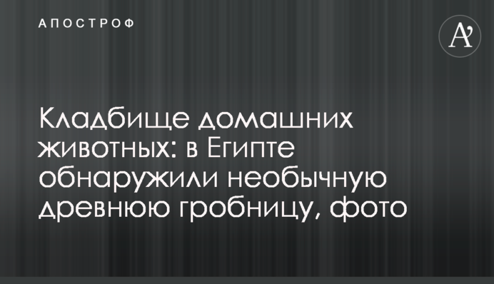 Кладовище домашніх тварин: в Єгипті виявили незвичайну стародавню гробницю, фото
