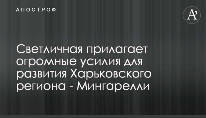 Светличная прилагает огромные усилия для развития Харьковского региона - Мингарелли