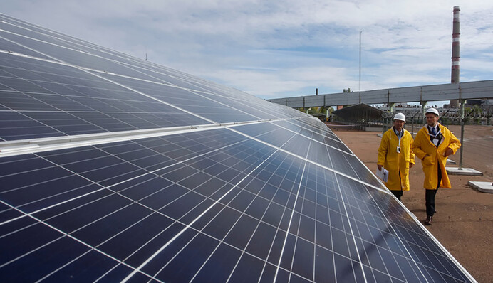 Новая жизнь Чернобыля: в зоне отчуждения запустят еще один объект