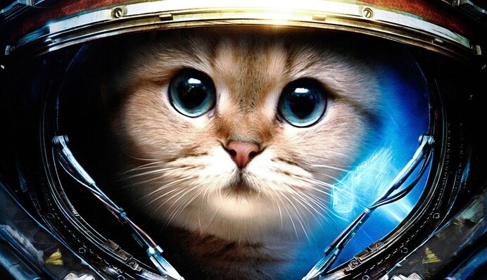 День працівників ракетно-космічної галузі України і День космонавтики: вірші, листівки фото і відеопривітання