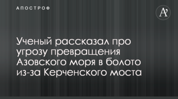 Вчений розповів про загрозу перетворення Азовського моря в болото через Керченський мост