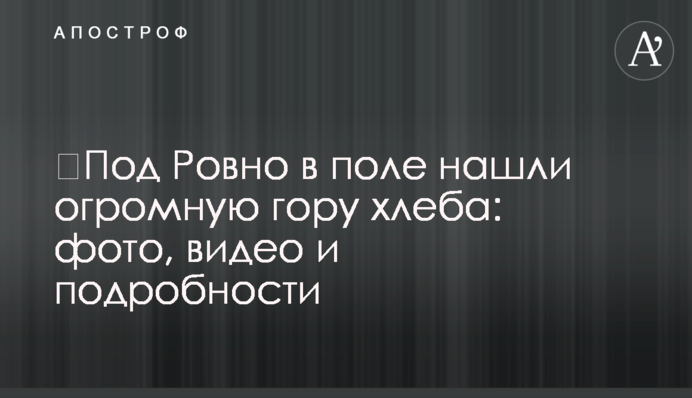 ​Под Ровно в поле нашли огромную гору хлеба: фото, видео и подробности