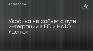 Украина не сойдет с пути интеграции в ЕС и НАТО - Яценюк