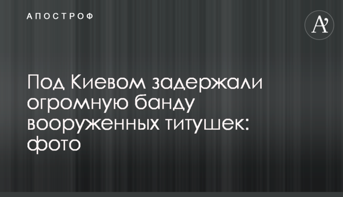 Під Києвом затримали величезну банду озброєних тітушек: фото