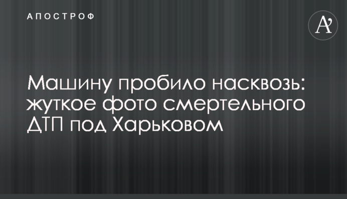 Машину пробило наскрізь: моторошне фото смертельної ДТП під Харковом