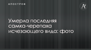 Померла остання самка-черепаха зникаючого виду: фото
