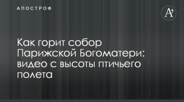 Як палає собор Паризької Богоматері: відео з висоти пташиного польоту