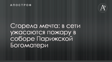 Згоріла мрія: в мережі жахаються пожежі в соборі Паризької Богоматері