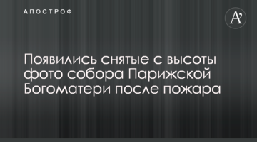 З'явилися зняті з висоти фото собору Паризької Богоматері після пожежі