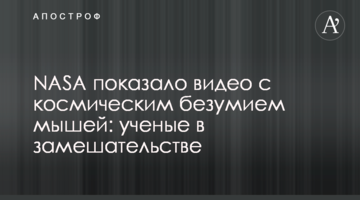 NASA показало відео з космічним божевіллям мишей: вчені розгублені