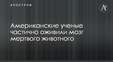 Американські вчені частково оживили мозок мертвої тварини