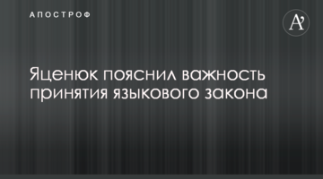 Яценюк пояснив важливість прийняття мовного закону