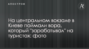 На центральному вокзалі в Києві впіймали злодія, який "заробляв" на туристах: фото