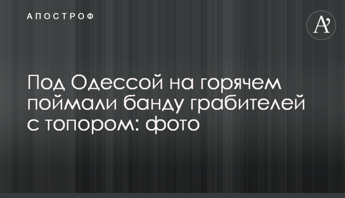 Під Одесою на гарячому спіймали банду грабіжників з сокирою: фото