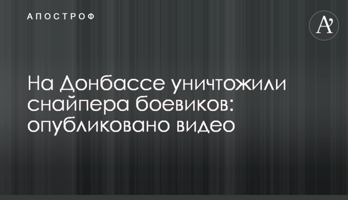 На Донбассе уничтожили снайпера боевиков: опубликовано видео