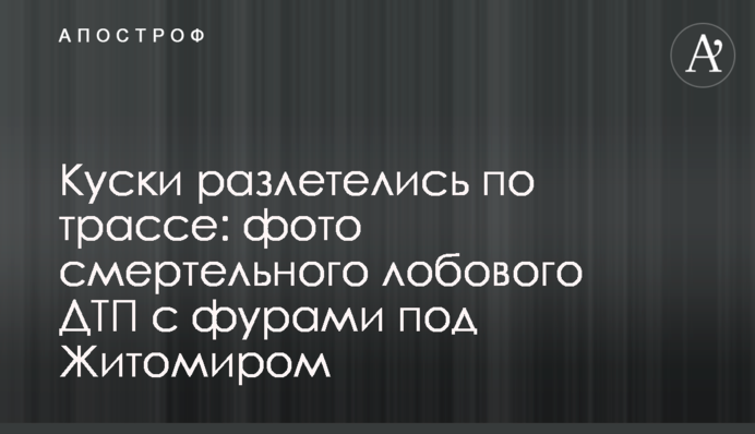 Шматки розлетілися по трасі: фото смертельної лобової ДТП із фурами під Житомиром