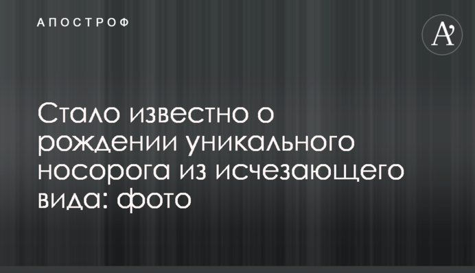 Стало відомо про народження унікального носорога зі зникаючого виду: фото