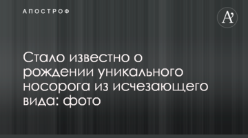 Стало відомо про народження унікального носорога зі зникаючого виду: фото