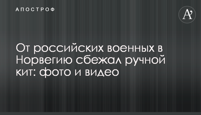 Від російських військових в Норвегію втік ручної кит: фото і відео