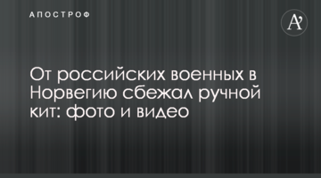 Від російських військових в Норвегію втік ручної кит: фото і відео