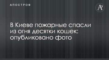У Києві пожежники врятували з вогню десятки котів: опубліковано фото
