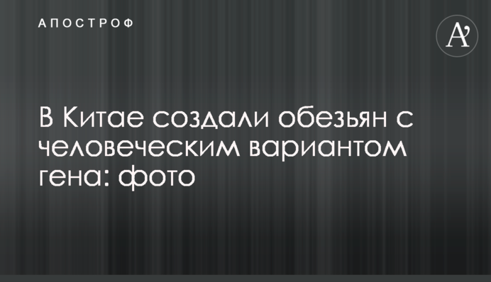 У Китаї створили мавп з людським варіантом гену: фото