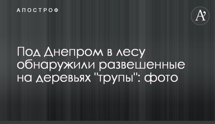 Під Дніпром в лісі виявили розвішані на деревах 
