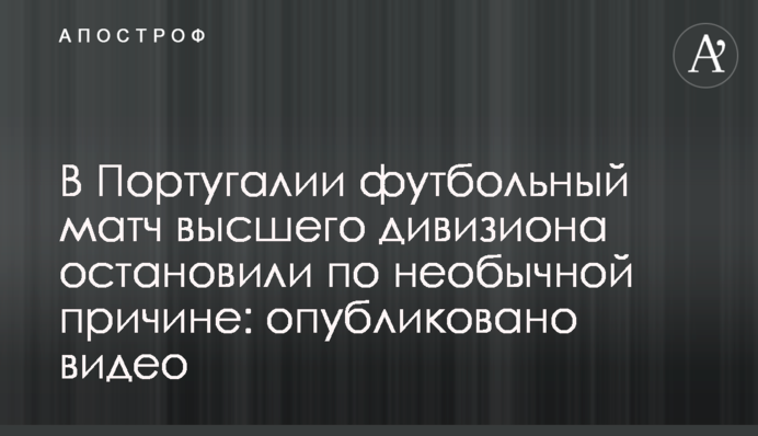 У Португалії футбольний матч зупинили через незвичайну причину: опубліковано відео