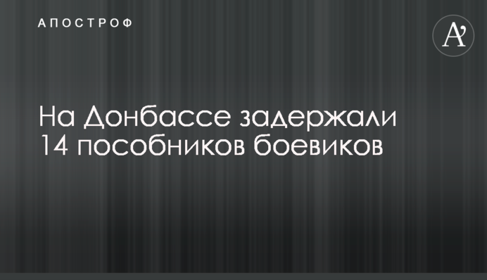 На Донбассе задержали 14 пособников боевиков