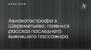 ​Авіакатастрофа в Шереметьєво: з'явилася розповідь останнього пасажира, що вижив
