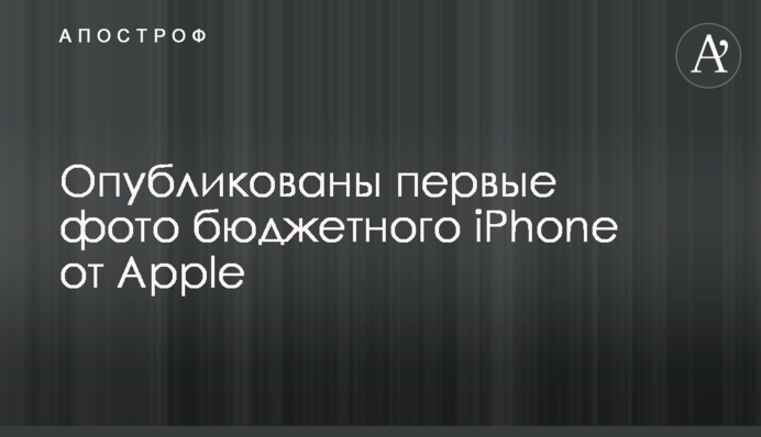 Опубликованы первые фото бюджетного iPhone от Apple