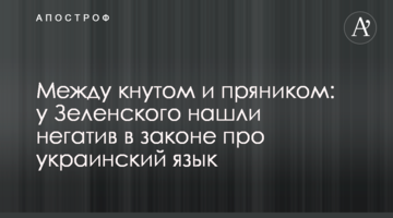 Між батогом і пряником: у Зеленського знайшли негатив в законі про українську мову